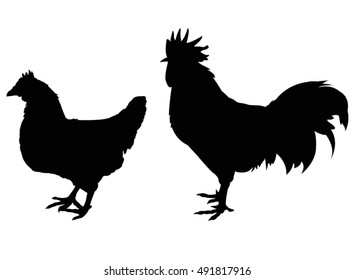 Poultry silhouette, vector illustration
