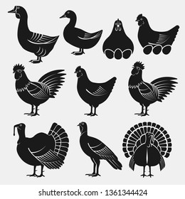 Poultry silhouettes set. Domestic fowls icons. vector illustration - eps 8