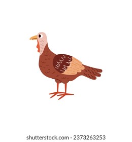 Poultry turkey bird. Farm fowl vector cartoon illustration. Village or wild animal for food. Natural eco countryside isolated pet. Cute gobbler isolated on white background.