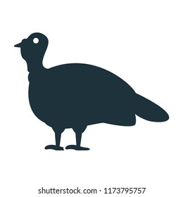 Poultry Turkey Icon
