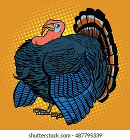 Poultry Turkey, realistic pop art retro vector illustration. Farm animal. Thanksgiving day