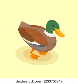 Poultry vector illustration with colored duck isometric icon in cartoon style on yellow background