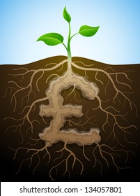 Pound sterling sign like root of plant. Roots and tuber in shape of pound symbol sprout.