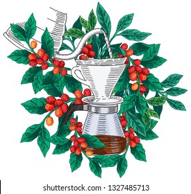 Pour over brewing with coffee plant. Coffee shop and cup of coffee. Hand drawn vector illustration.