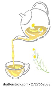 Pouring Chamomile Tea into Cup Vector