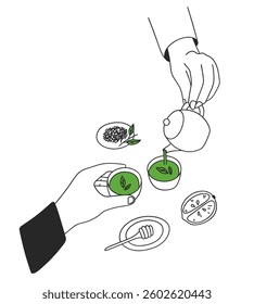 Pouring green tea from a teapot into cups. Honey and lemon, and green leaves. Vector illustration	
