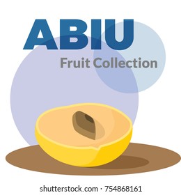 Pouteria caimito or the abiu (golden fruit) isolated on background. Yellow vector tropical sweet fruit.