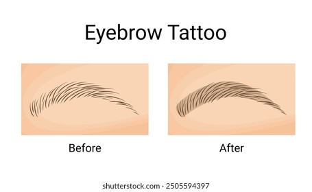 Powder Brows Tattoo Before and After. Vector illustration design.
