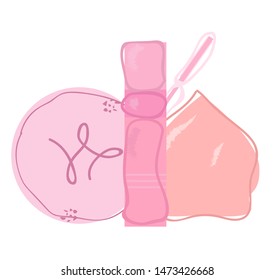 Powder, lip gloss and sponge for make up. Flat fashion icon on white background. Color icons with cosmetic products to create a make-up for internet, web, mobile apps, interface design, presentations.