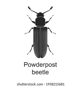 Powderpost beetle vector black icon. Vector illustration pest insect powderpost beetle on white background. Isolated black illustration icon of pest insect.