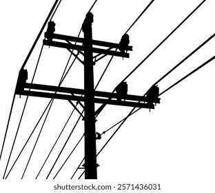 power lines on a white background