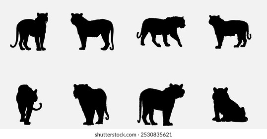 The Power of Tiger Vector Art