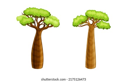 Powerful African baobab trees with green leaves set cartoon vector illustration