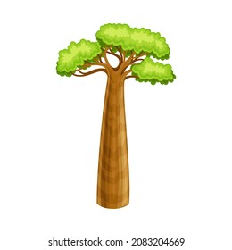 Powerful baobab tree with green leaves, African continent symbol cartoon vector illustration