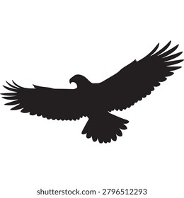 Powerful bird of prey silhouette in flight. Predatory eagle soaring high with majestic wingspan on white background.
