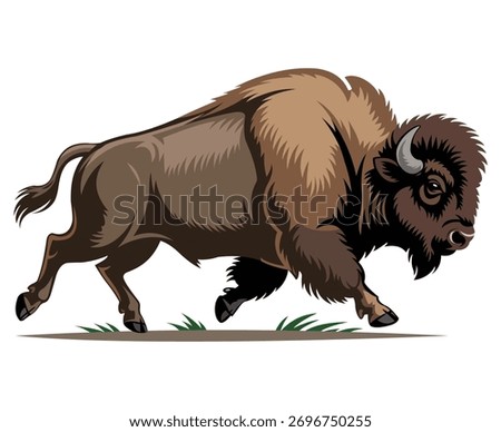 A powerful bison in motion displaying strength and wild nature