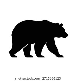 Poderoso Urso Negro Vagueando Livremente em Seu Habitat Floresta