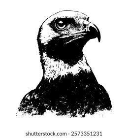 powerful black and white vector illustration of an eagle, emphasizing its sharp gaze and regal posture with intricate detailing and bold contrasts.