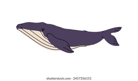 Powerful blue or humpback whale swims in water. Big sea animal, large marine mammal with flippers. Underwater fauna of arctic and atlantic oceans. Flat isolated vector illustration on white background