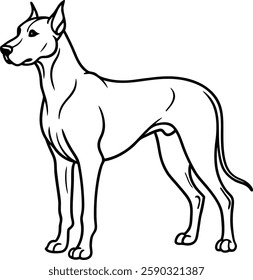 Powerful calm great Dane silhouette printable coloring page