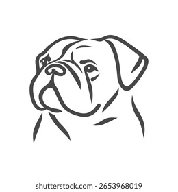 Poderosa ilustração canina - Bulldog Head Vetor Design para mascotes, logotipos e vestuário	