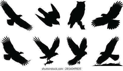 A powerful collection of black vector silhouettes showcasing various predatory birds soaring, hunting, and perched. Perfect for wildlife conservation badges, outdoor adventure branding, mascot logos, nature reserve signage, and biological education layouts.A powerful collection of black vector silhouettes showcasing various predatory birds soaring, hunting, and perched. Perfect for wildlife conservation badges, outdoor adventure branding, mascot logos, nature reserve signage, and biological education layouts.