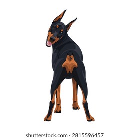 Powerful Doberman Pinscher Dog