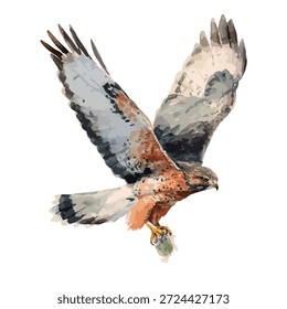 Powerful flying hawk vector art, a majestic bird of prey capturing its catch. Ideal for wildlife conservation and nature designs.
