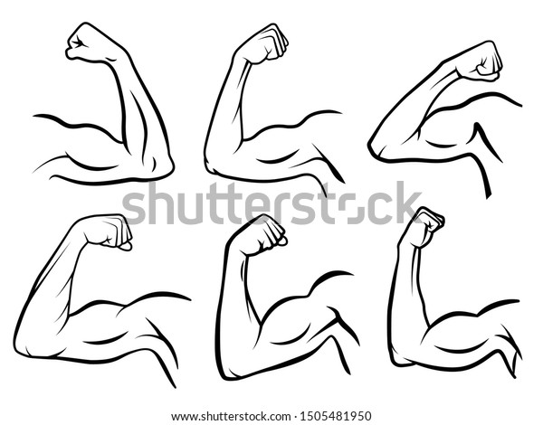 強力な手の筋肉 強い腕の筋肉 硬い二頭筋 手の強さの輪郭 筋肉のロゴ 健康なボディービルの二頭筋バッジ ジムのロゴタイプ 分離型ベクターイラスト記号セット のベクター画像素材 ロイヤリティフリー