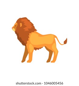 Powerful lion standing, wild predatory animal side view vector Illustration on a white background