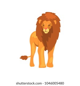 Powerful lion, wild predatory animal vector Illustration on a white background