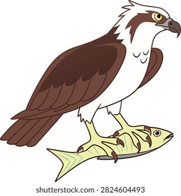 Powerful osprey sea hawk gripping yellow fish with sharp talons, predatory bird of prey drawing, wildlife nature scene, flat design avian vector, outdoor hunting.