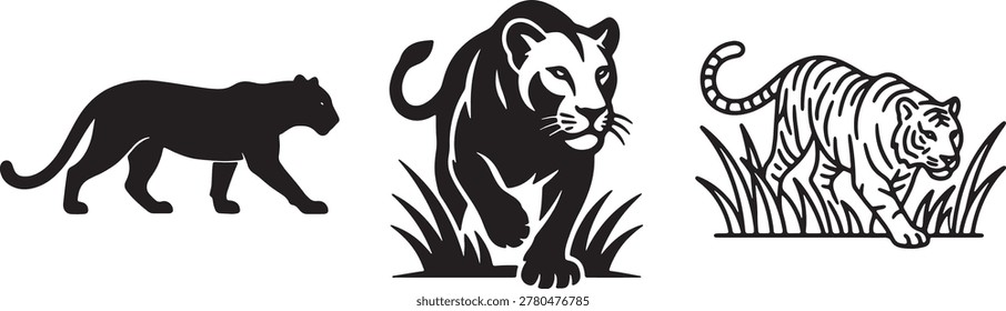 A powerful set of three wild cat illustrations, featuring a walking panther silhouette, a detailed lioness in grass, and a striped tiger in line art, all in black and white.