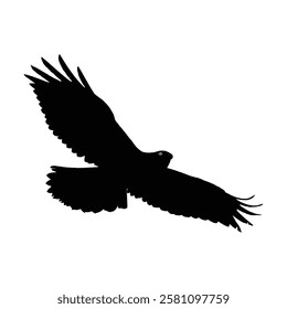 Powerful Silhouette of a Bird of Prey in sky Flight. Symbol of Eagle vector, Eagle Icon, Eagle Drawing.
