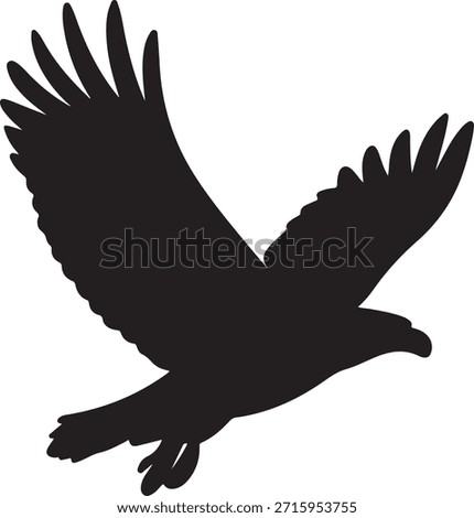 Powerful silhouette of a flying eagle with spread wings in soaring pose.