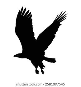 Powerful Silhouette of a Soaring Bird of Prey. Symbol of Eagle vector, Eagle Icon, Eagle Drawing.
