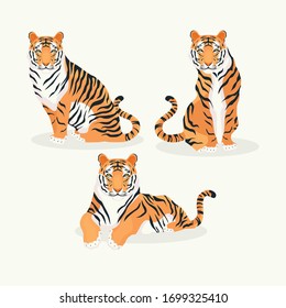 Powerful tiger in different actions set of cartoon vector Illustrations 