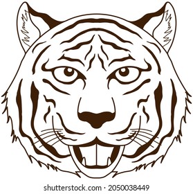 A powerful tiger face. Vector illustration