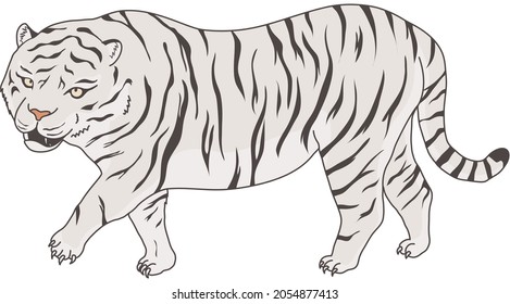 Ein mächtiger Tiger. Vektorgrafik