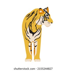 Powerful tiger vector illustration. Sitting tiger isolated on white. Bengal tiger vector illustration. The tiger sits with his back and looks to the side
