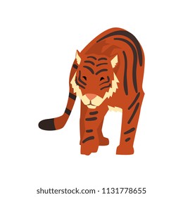 Powerful tiger, wild cat, predator cartoon vector Illustration on a white background