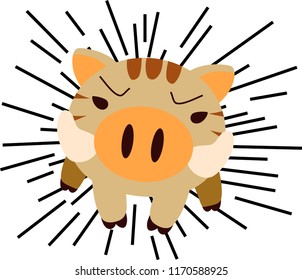 Powerful Wild boar to assault