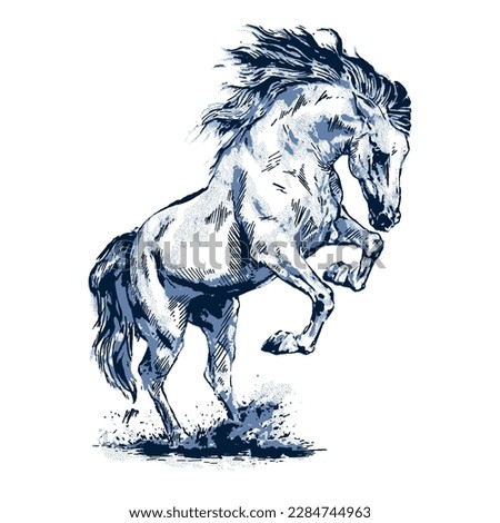 powerful wild horse vector illustration