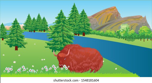 Powerful yak standing near green bushes on an alpine meadow. Vector illustration with a beautiful mountain landscape.