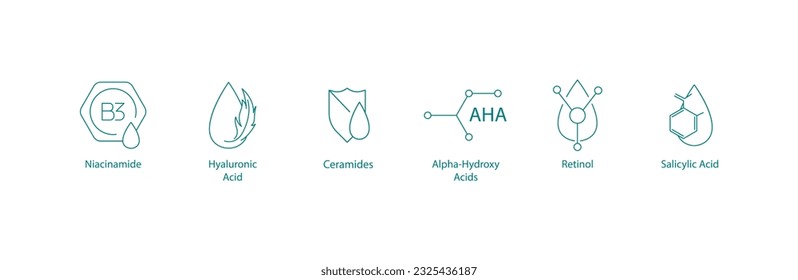 Powerhouse Skincare Ingredients: Vector Icons Illustrating Niacinamide, Hyaluronic Acid, Ceramides, AHAs, Retinol, and Salicylic Acid svg