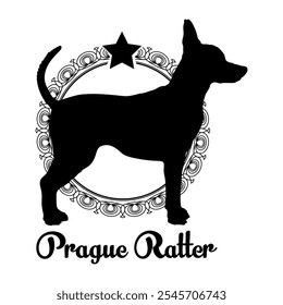 Silueta del perro de la ratera de Praga, perro, razas de perro, Vector, silueta, diseño del logotipo, animal, ilustración, icono, signo, negro, mascota