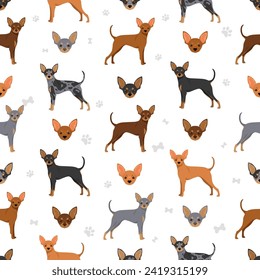 Prague Ratter seamless pattern. All coat colors set.  All dog breeds characteristics infographic. Vector illustration