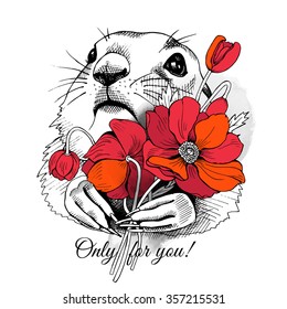 Prairie Dog Portrait With Bright Red Flowers Poppies. Vector Illustration.