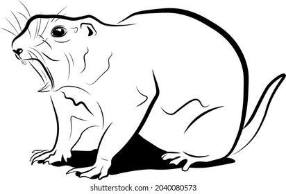 prairie dog vector illustration black ink