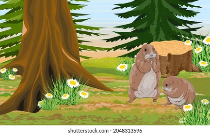Prairie dogs in a green meadow near tall trees. Wild rodents of North America. Realistic vector landscape